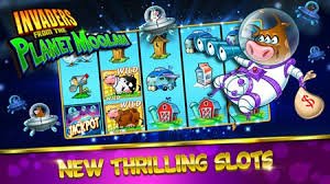 winbet app